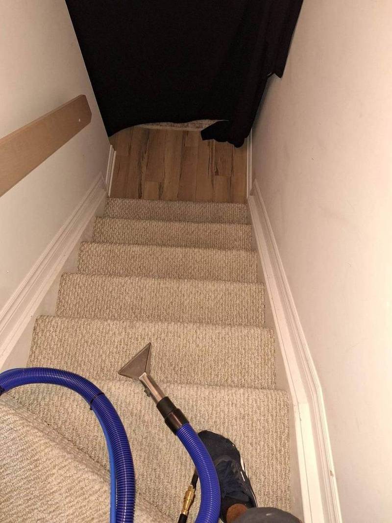 Nettoyage d'un escalier en tapis avec équipement professionnel
