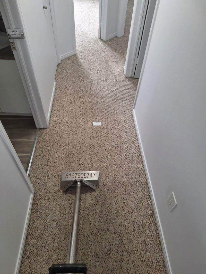 Nettoyage de tapis en profondeur dans un corridor, à Gatineau